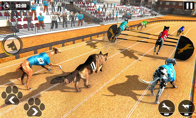 Cách Chơi Game Nhanh Đua Chó Tại ABC8 Dễ Thắng Cho Tân Thủ